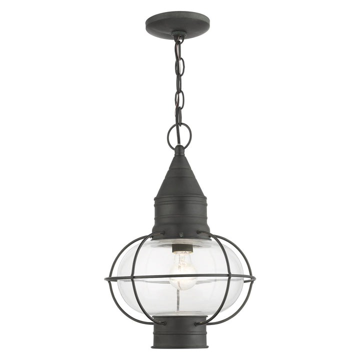 1 Light Charcoal Outdoor Pendant Lantern by Livex Lighting