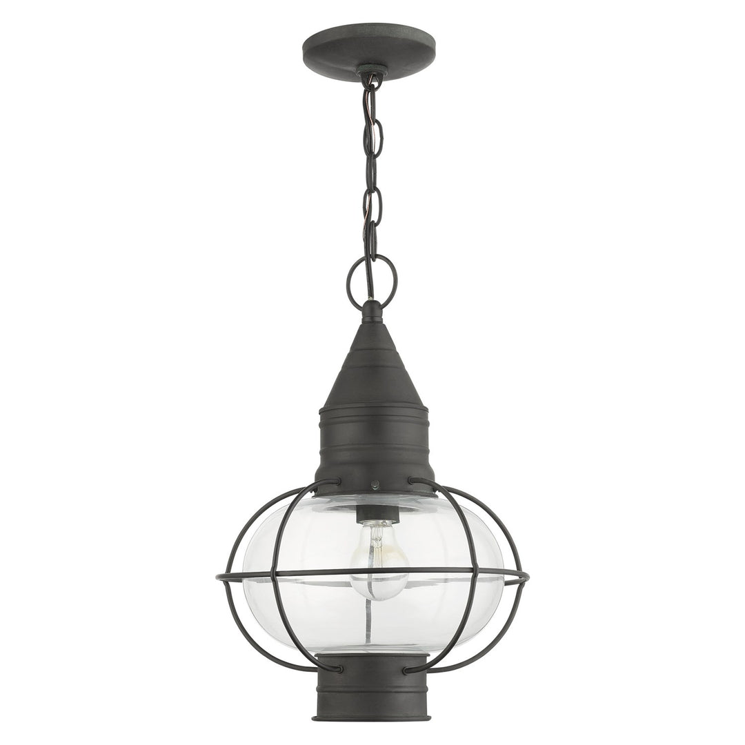 1 Light Charcoal Outdoor Pendant Lantern