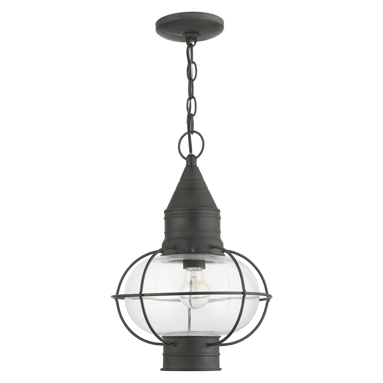 1 Light Charcoal Outdoor Pendant Lantern
