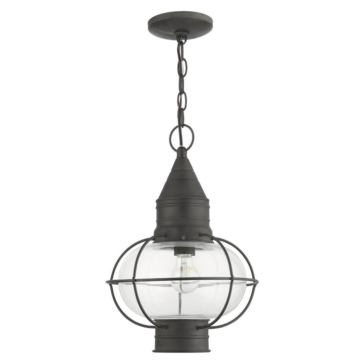 1 Light Charcoal Outdoor Pendant Lantern