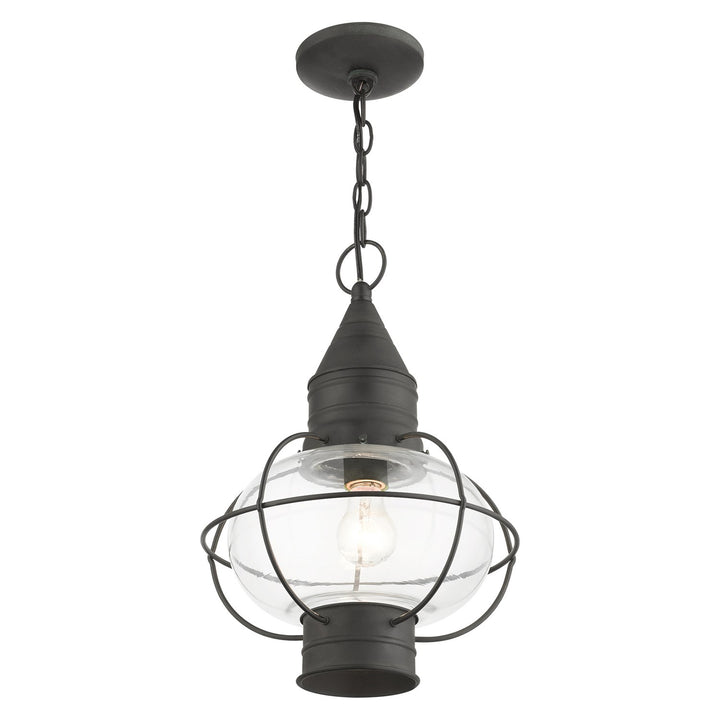 1 Light Charcoal Outdoor Pendant Lantern