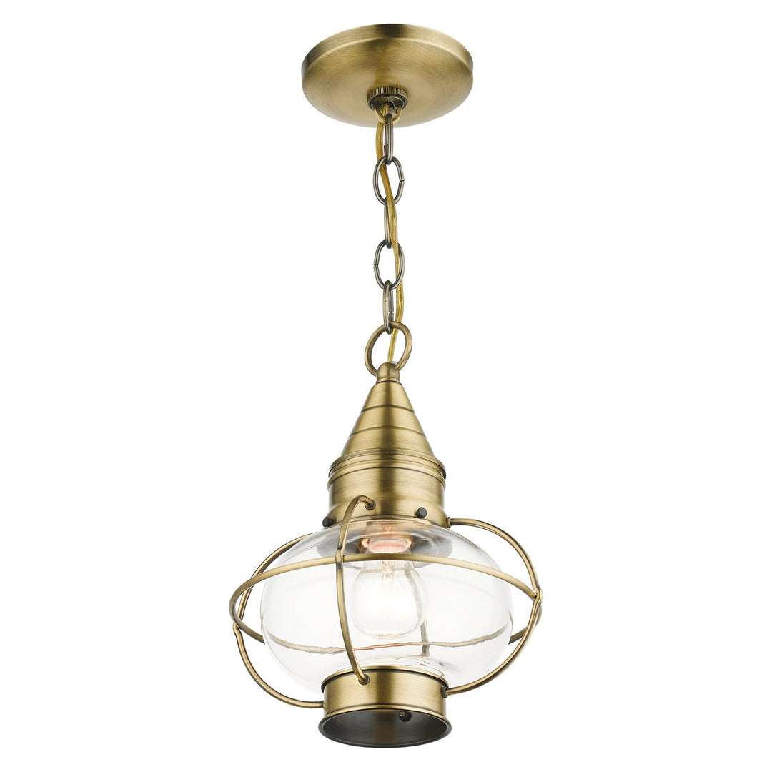 1 Light Antique Brass Outdoor Pendant Lantern
