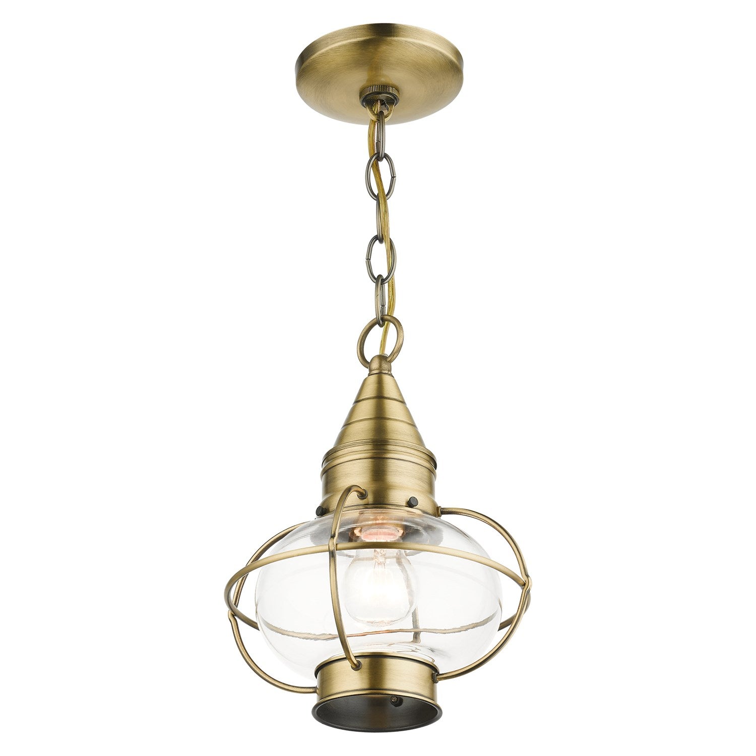 1 Light Antique Brass Outdoor Pendant Lantern