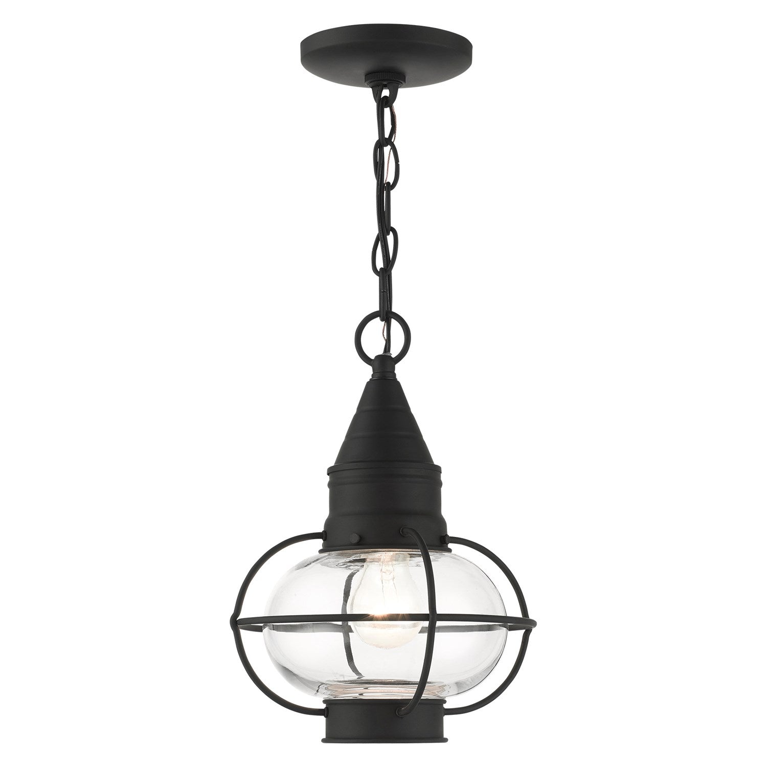1 Light Black Outdoor Pendant Lantern by Livex Lighting