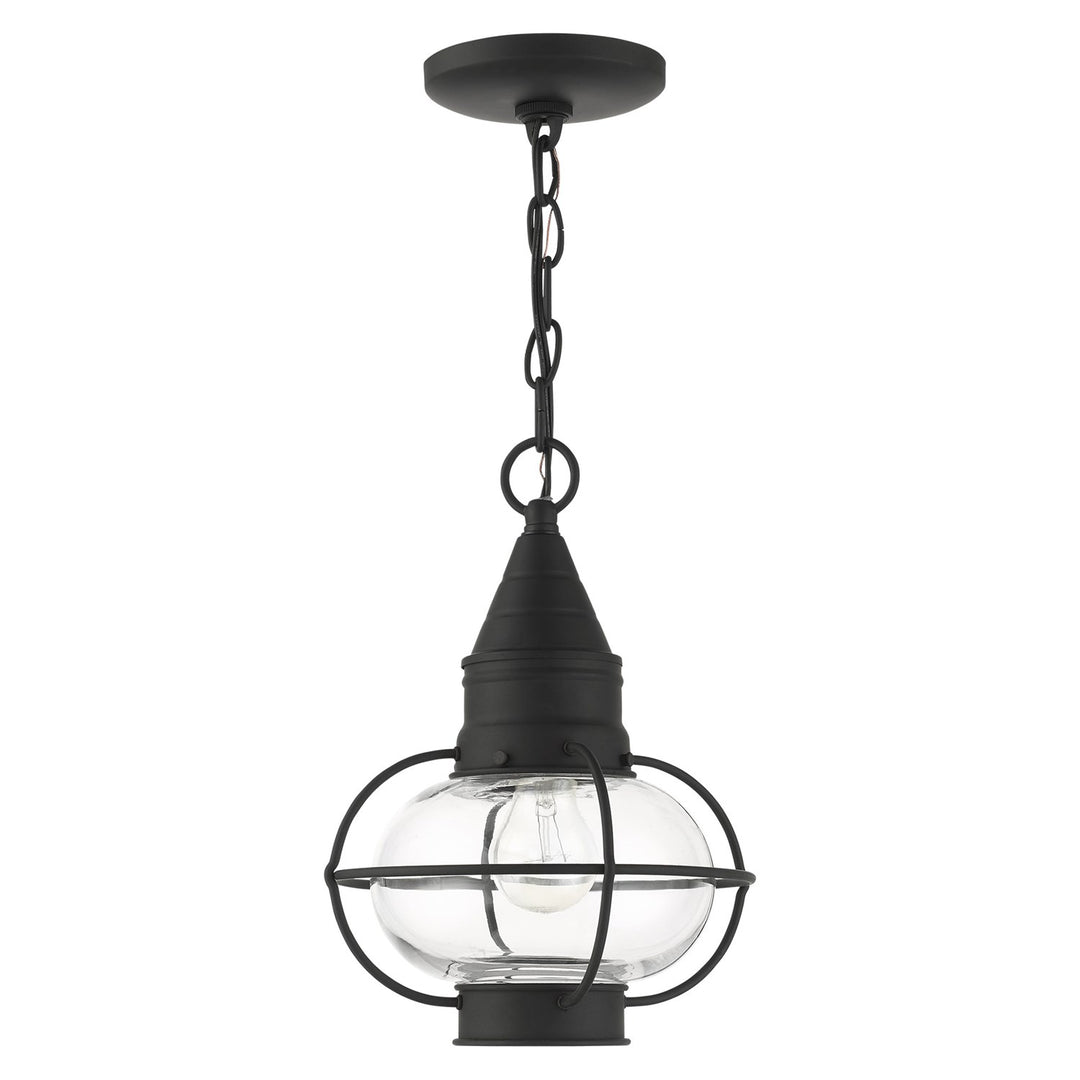 1 Light Black Outdoor Pendant Lantern