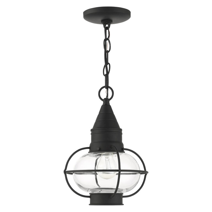 1 Light Black Outdoor Pendant Lantern