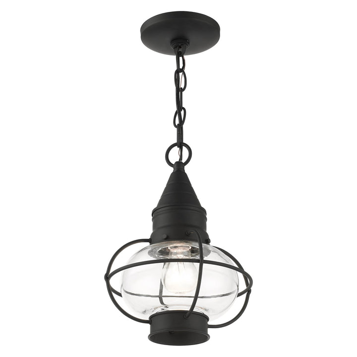 1 Light Black Outdoor Pendant Lantern