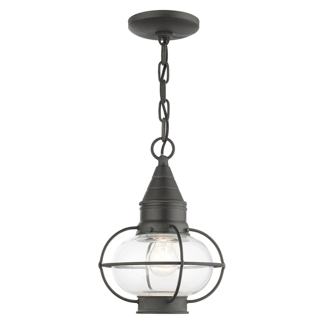1 Light Charcoal Outdoor Pendant Lantern by Livex Lighting