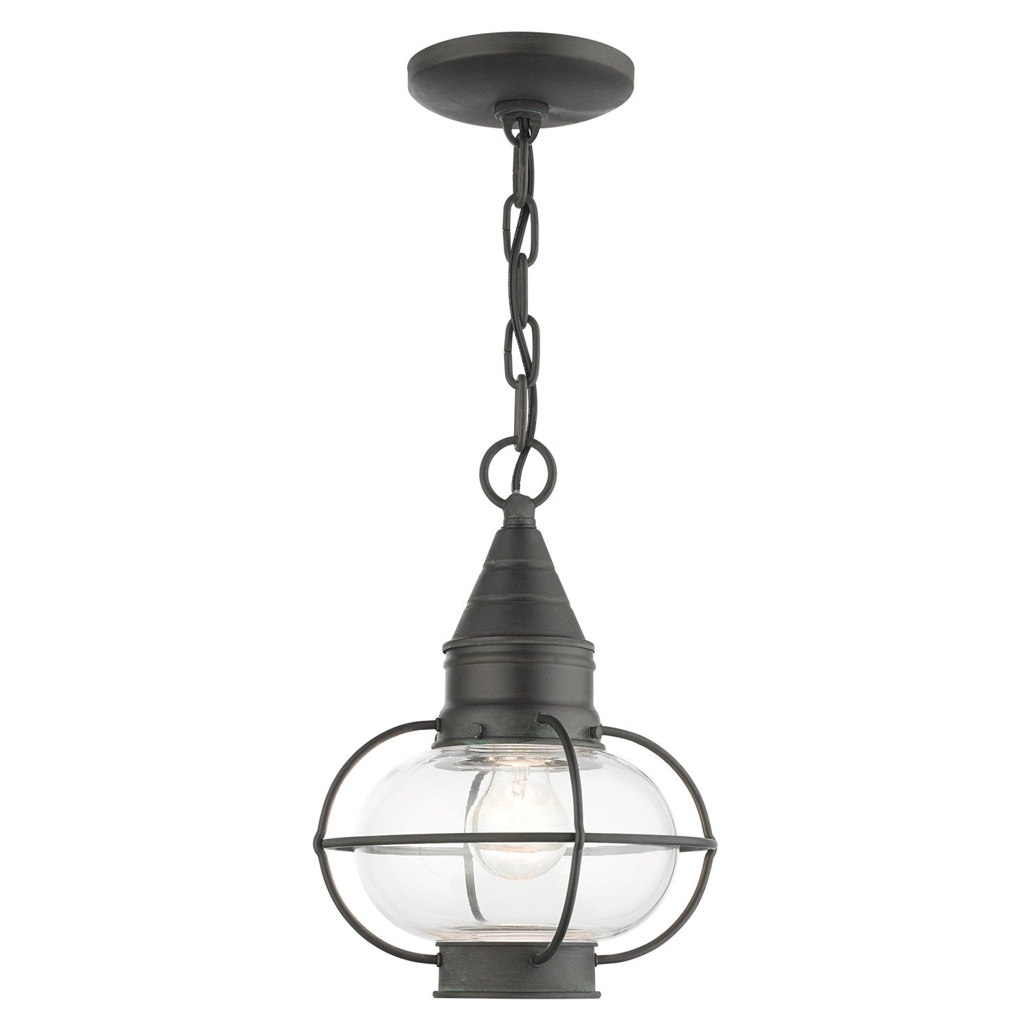 1 Light Charcoal Outdoor Pendant Lantern by Livex Lighting