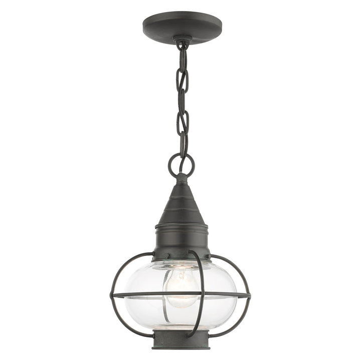 1 Light Charcoal Outdoor Pendant Lantern by Livex Lighting