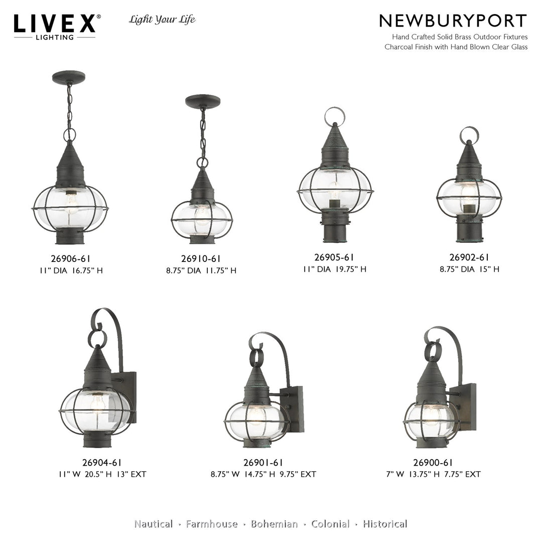 1 Light Charcoal Outdoor Pendant Lantern