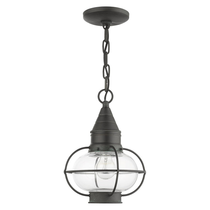 1 Light Charcoal Outdoor Pendant Lantern
