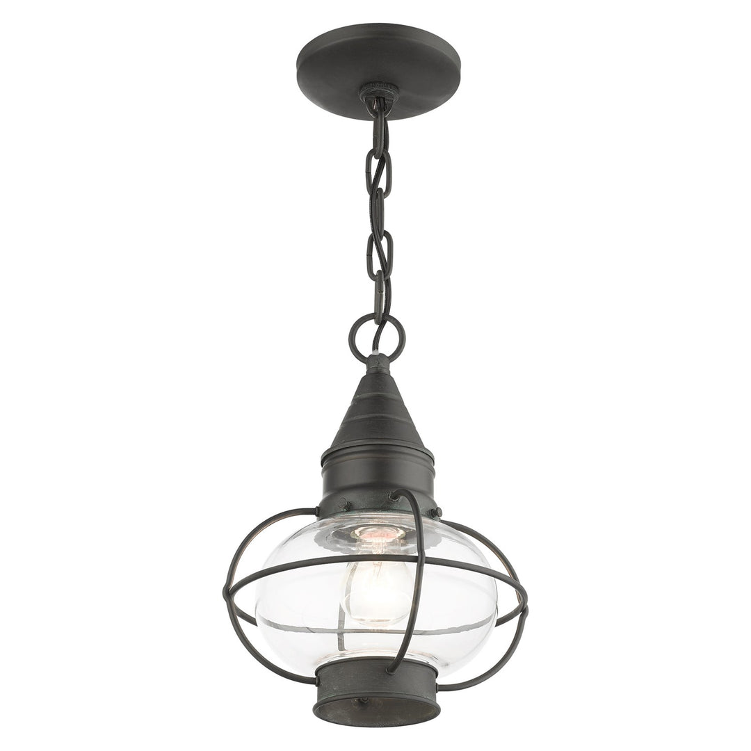 1 Light Charcoal Outdoor Pendant Lantern