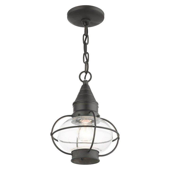 1 Light Charcoal Outdoor Pendant Lantern