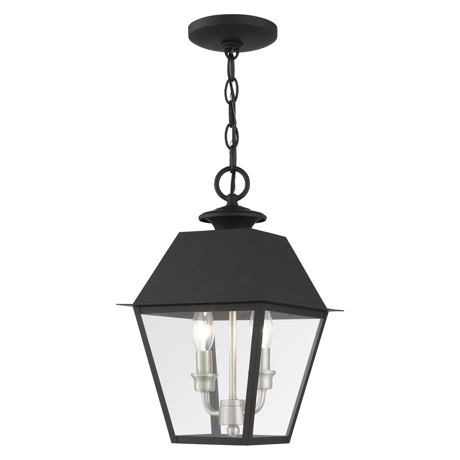 2 Light Black Outdoor Pendant Lantern by Livex Lighting
