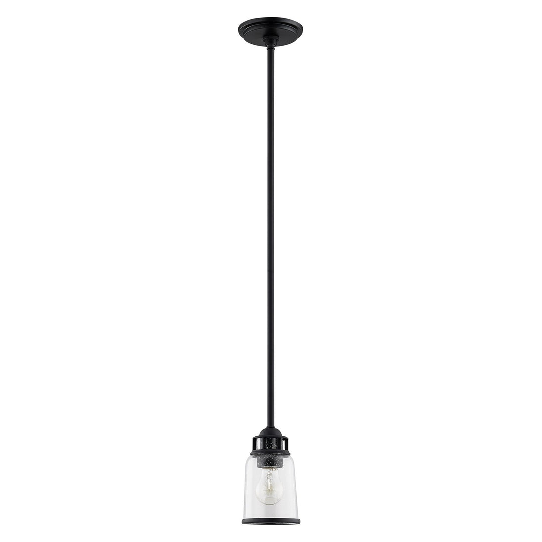 1 Light Black Single Pendant
