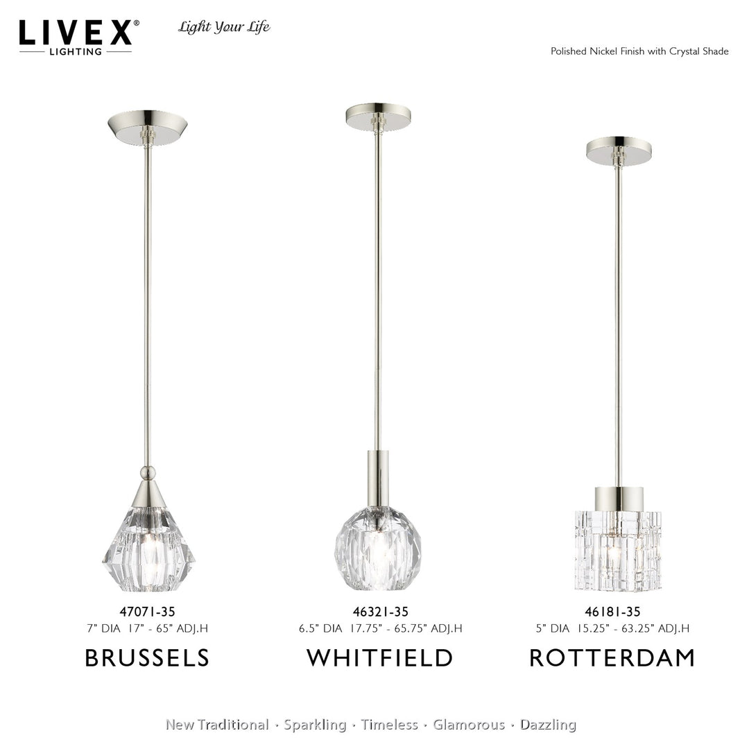 1 Light Polished Nickel Single Pendant