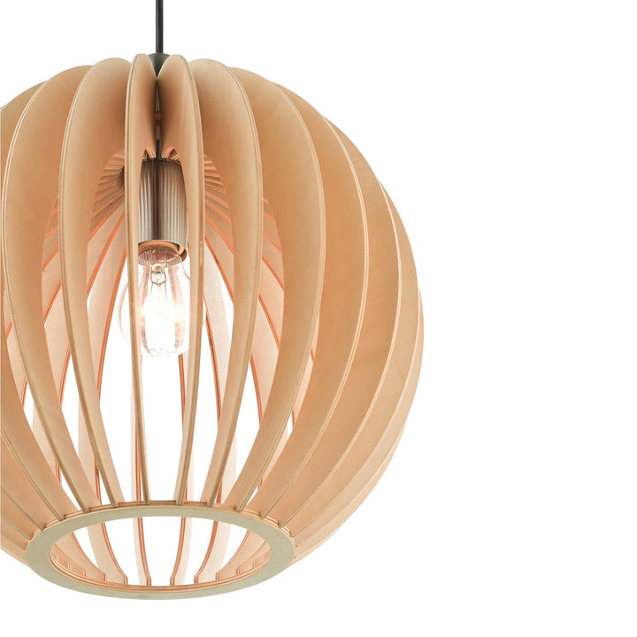 1 Light Brushed Nickel Single Pendant