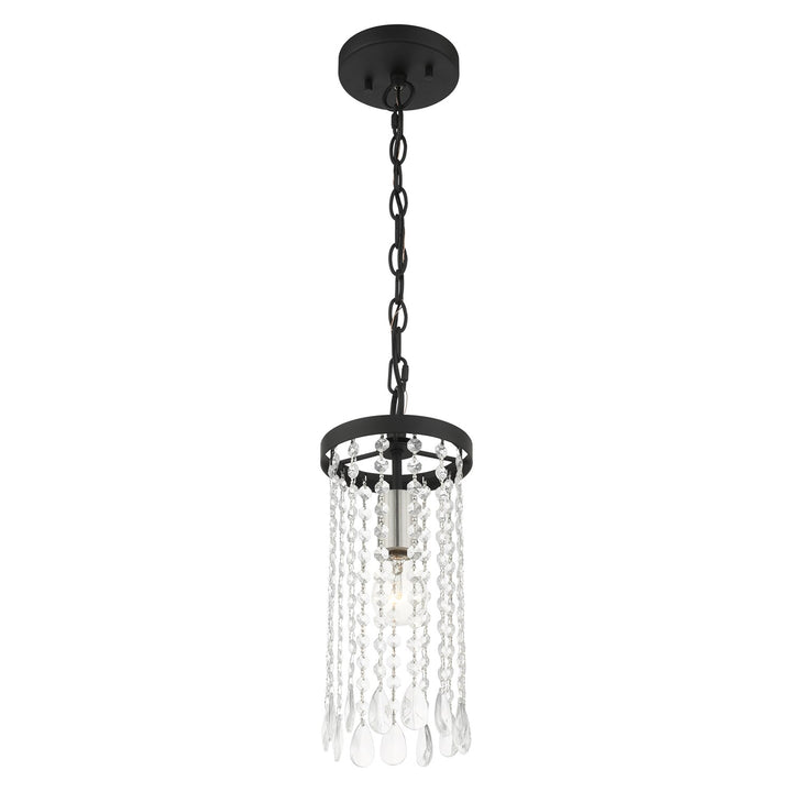 1 Light Black Single Pendant