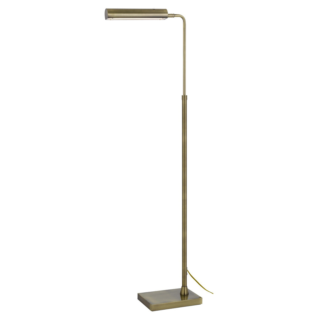 Delray 17W; 3000K Non Dimmable Integrated Led Metal Floor Lamp
