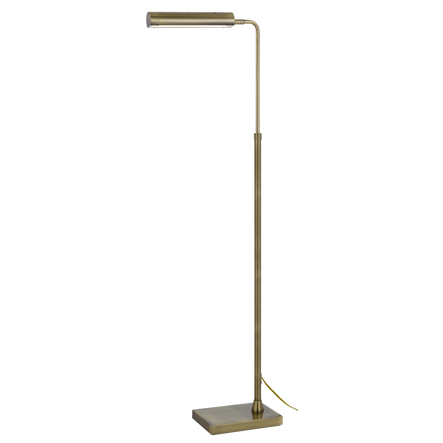 Delray 17W; 3000K Non Dimmable Integrated Led Metal Floor Lamp