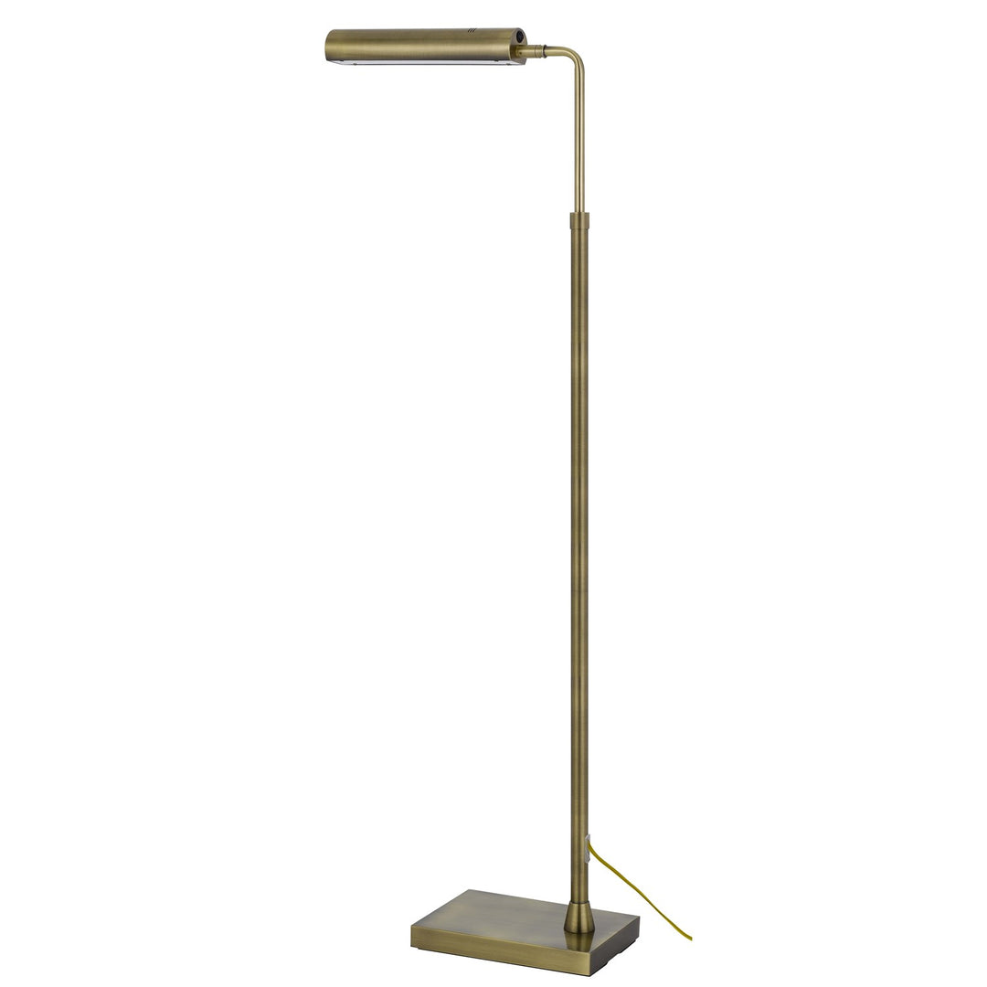 Delray 17W; 3000K Non Dimmable Integrated Led Metal Floor Lamp