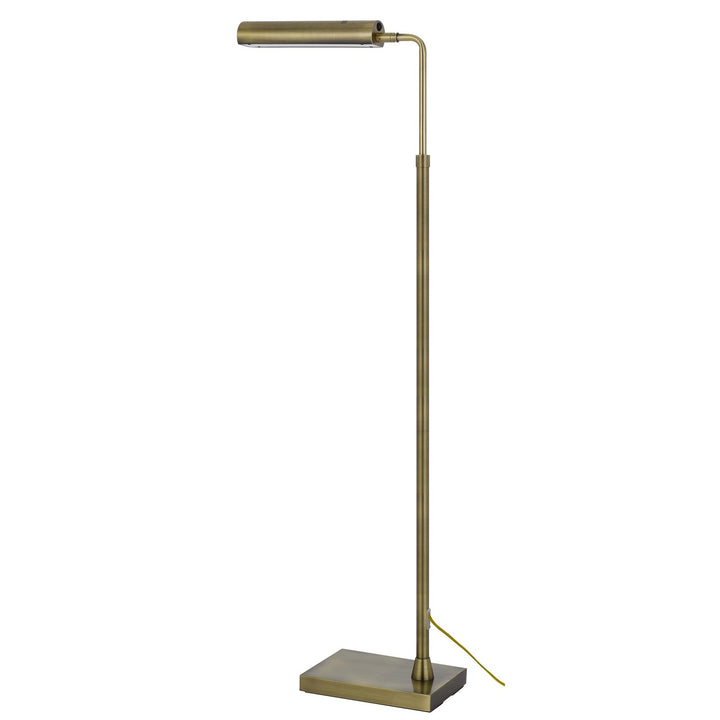 Delray 17W; 3000K Non Dimmable Integrated Led Metal Floor Lamp