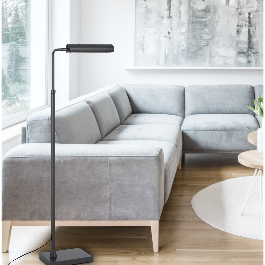 Delray 17W; 3000K Non Dimmable Integrated Led Metal Floor Lamp