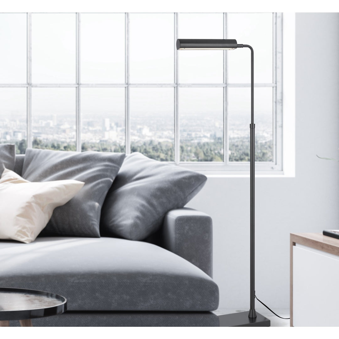 Delray 17W; 3000K Non Dimmable Integrated Led Metal Floor Lamp