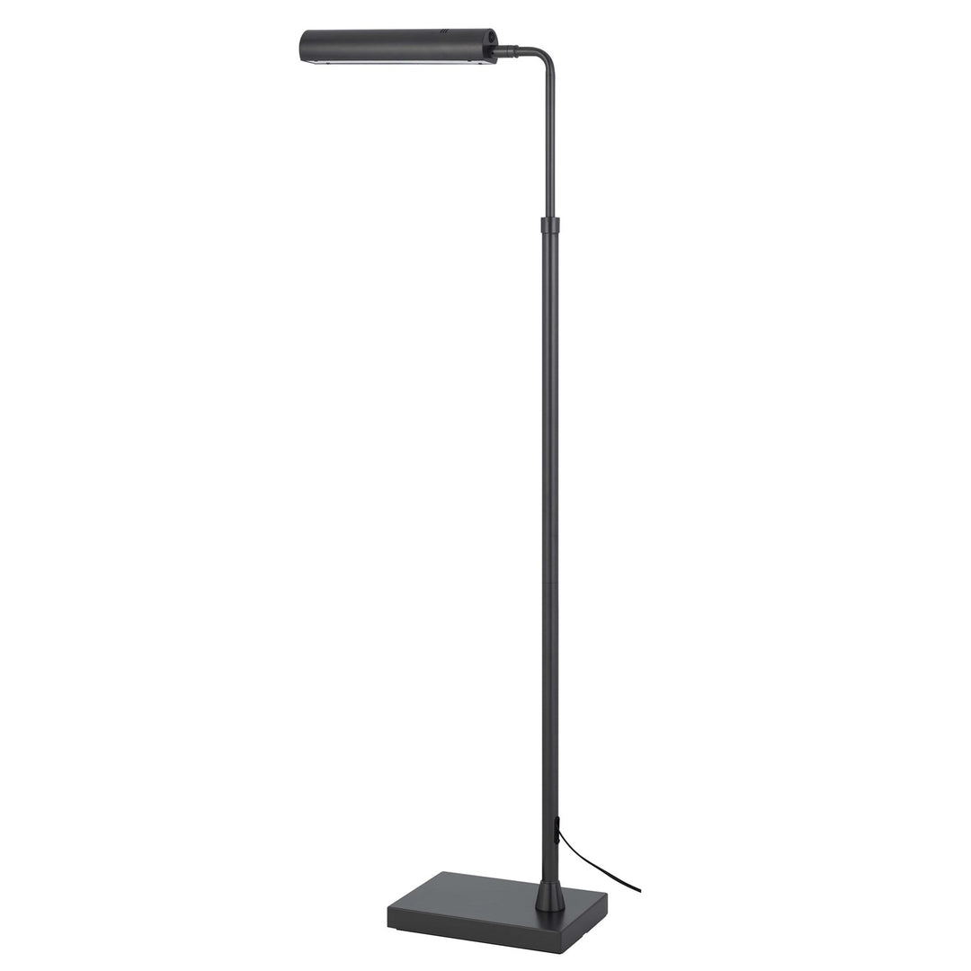 Delray 17W; 3000K Non Dimmable Integrated Led Metal Floor Lamp