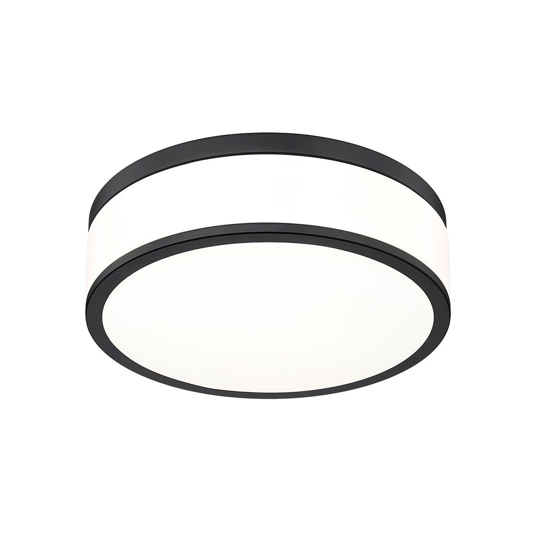 1 Light Flush Mount