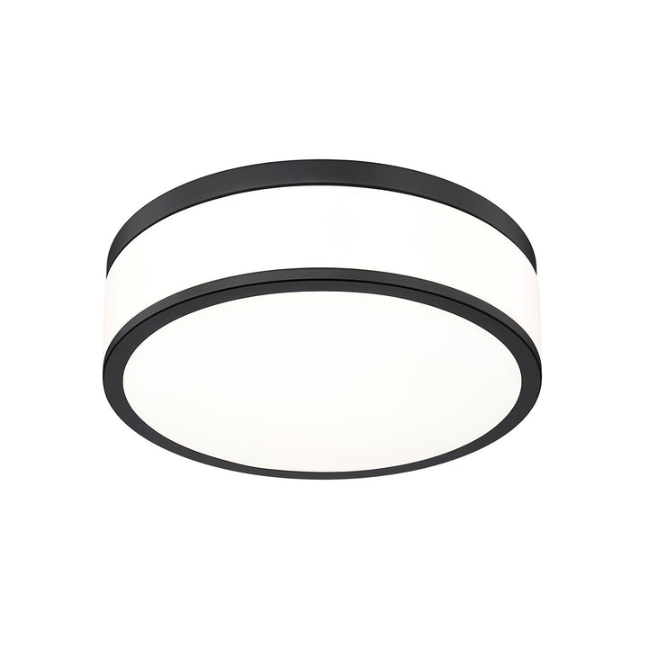 1 Light Flush Mount