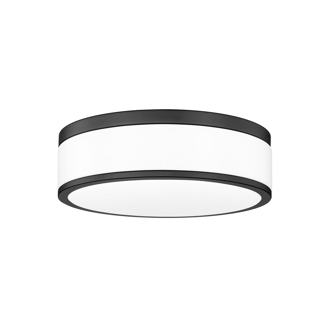 1 Light Flush Mount