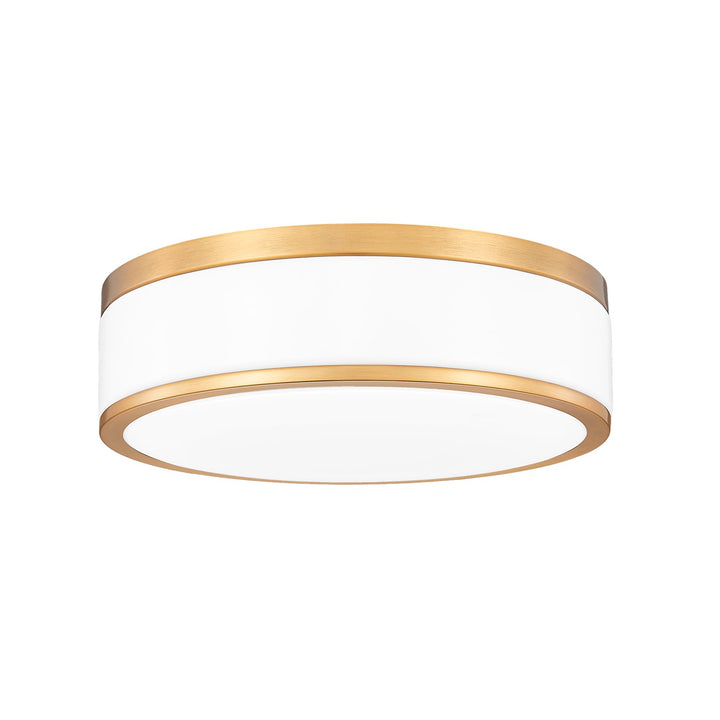 1 Light Flush Mount