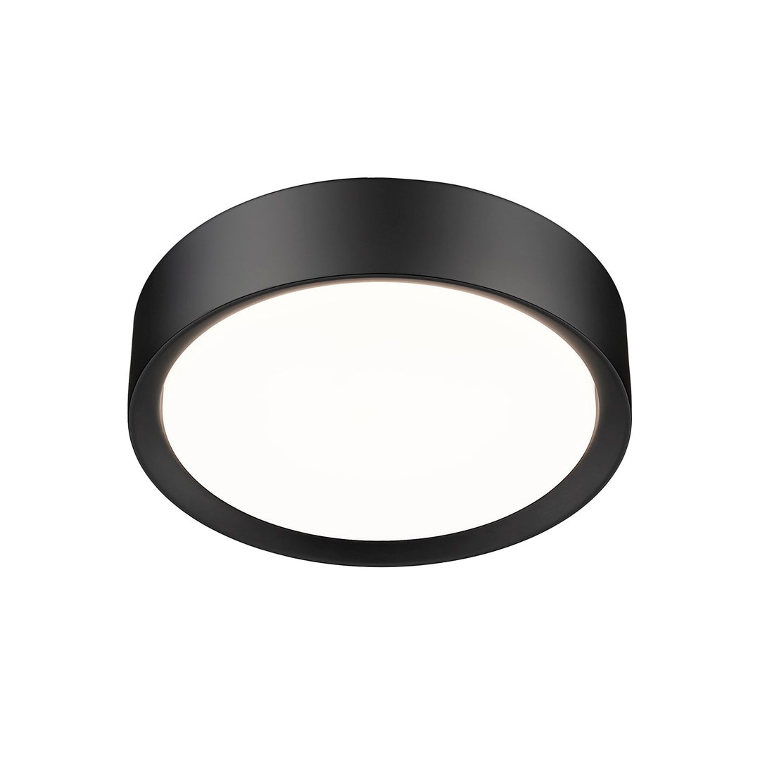 1 Light Flush Mount
