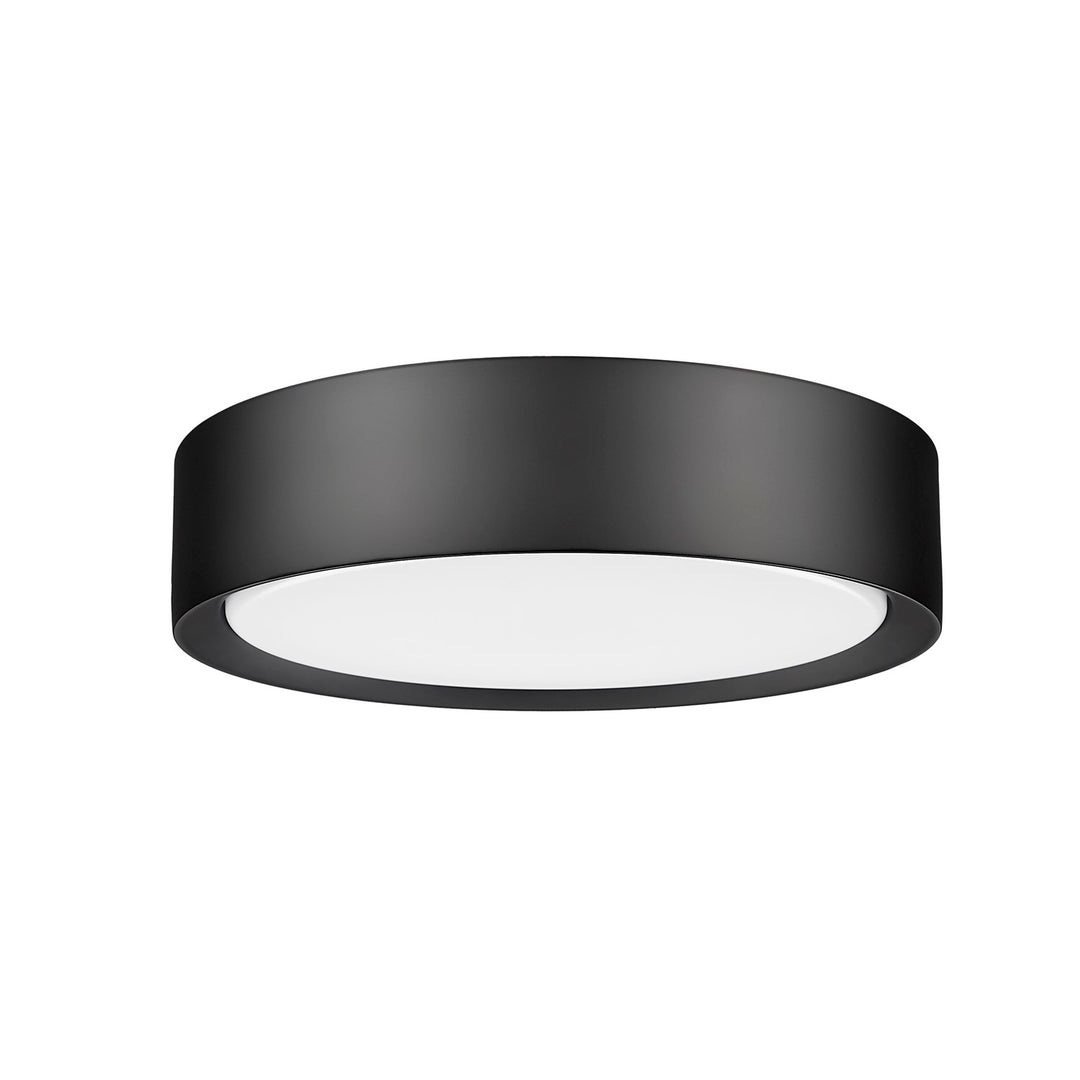 1 Light Flush Mount