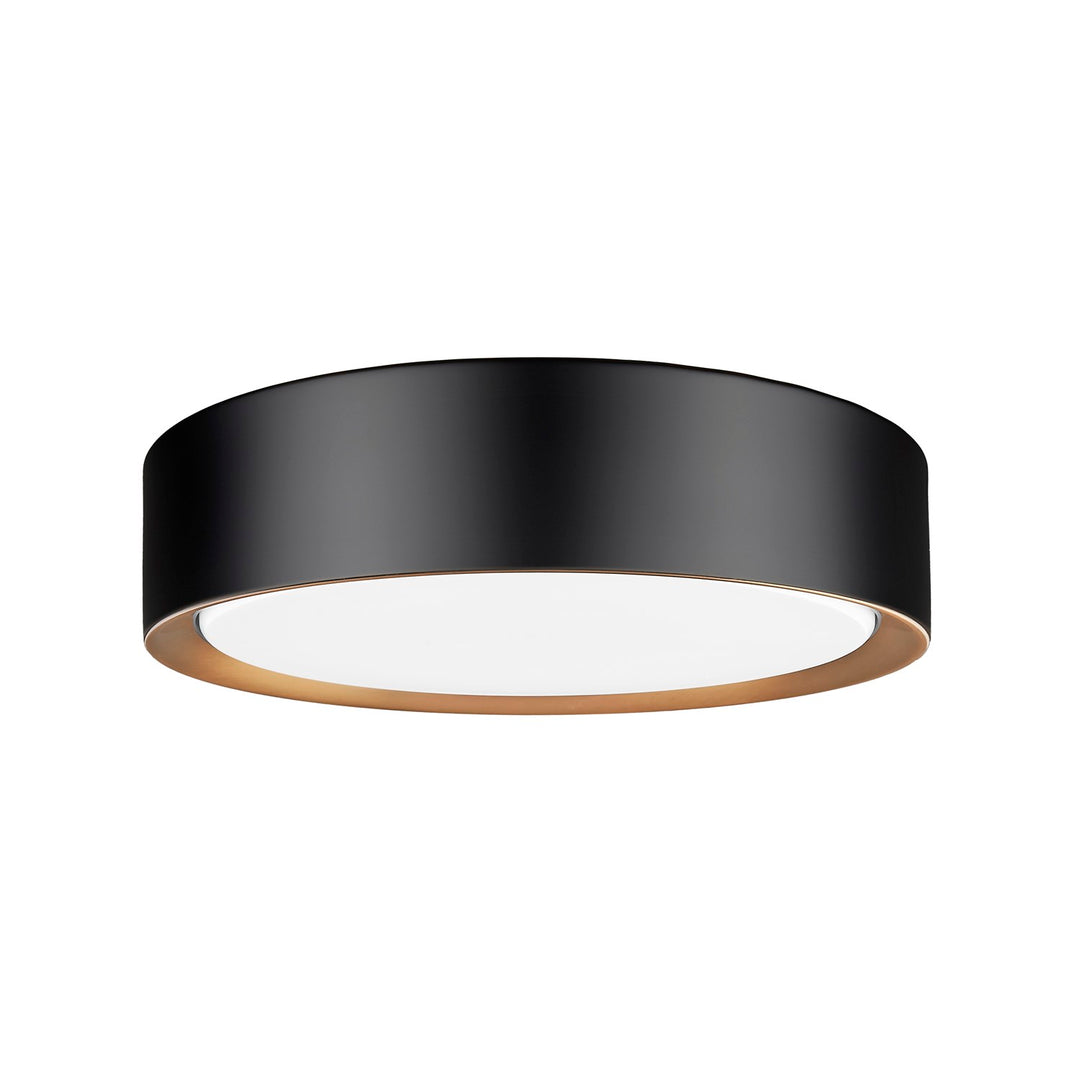 1 Light Flush Mount