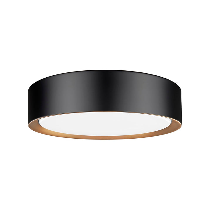 1 Light Flush Mount