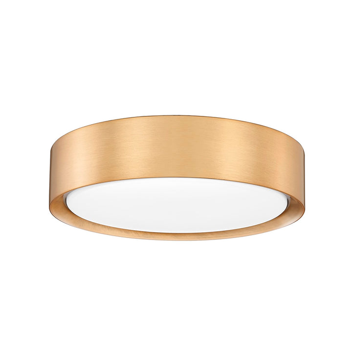 1 Light Flush Mount