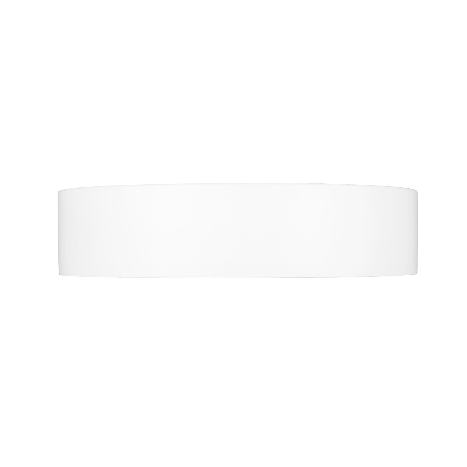1 Light Flush Mount