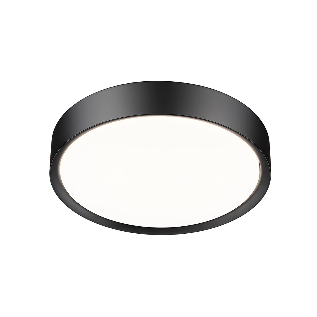 1 Light Flush Mount