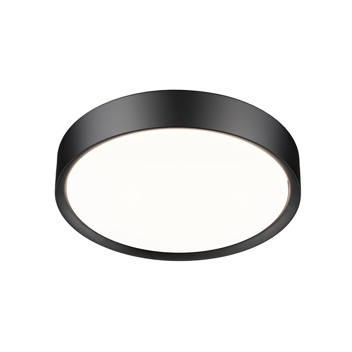 1 Light Flush Mount