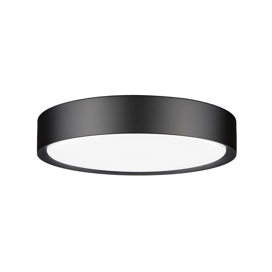 1 Light Flush Mount
