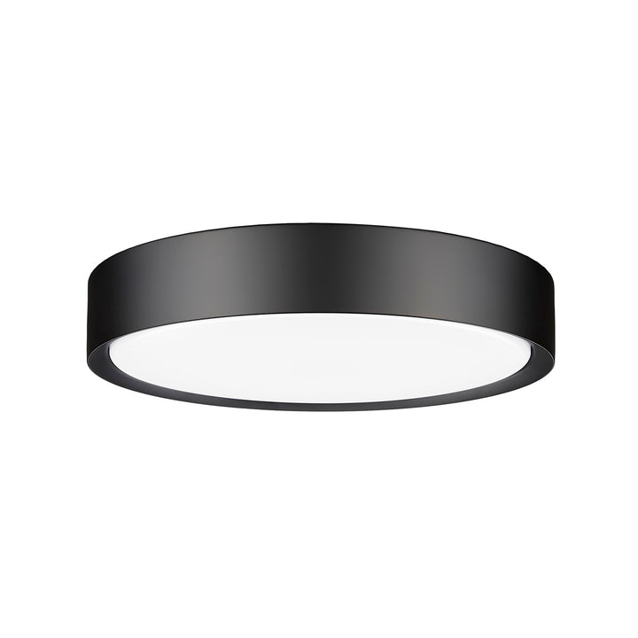 1 Light Flush Mount