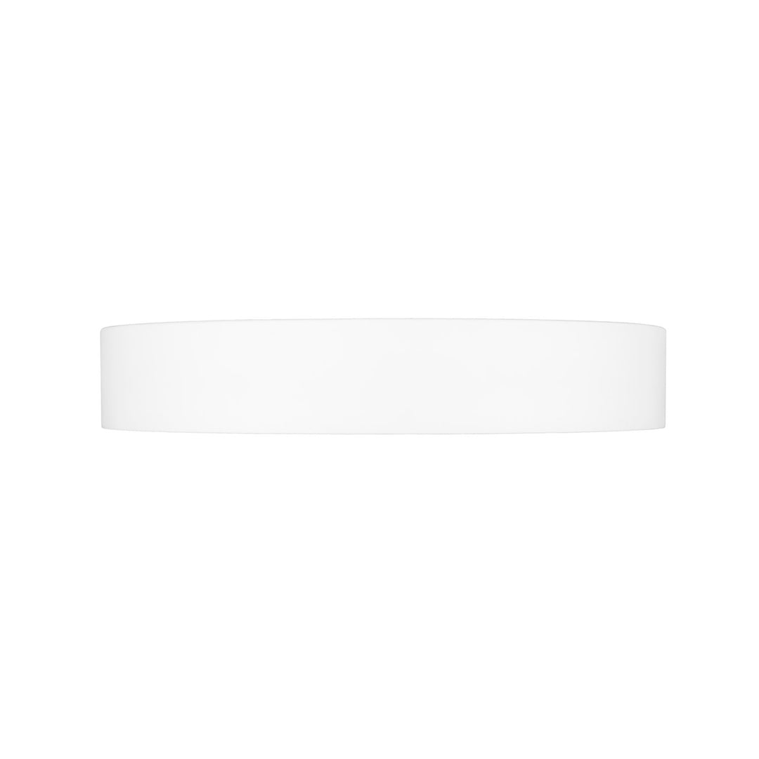 1 Light Flush Mount