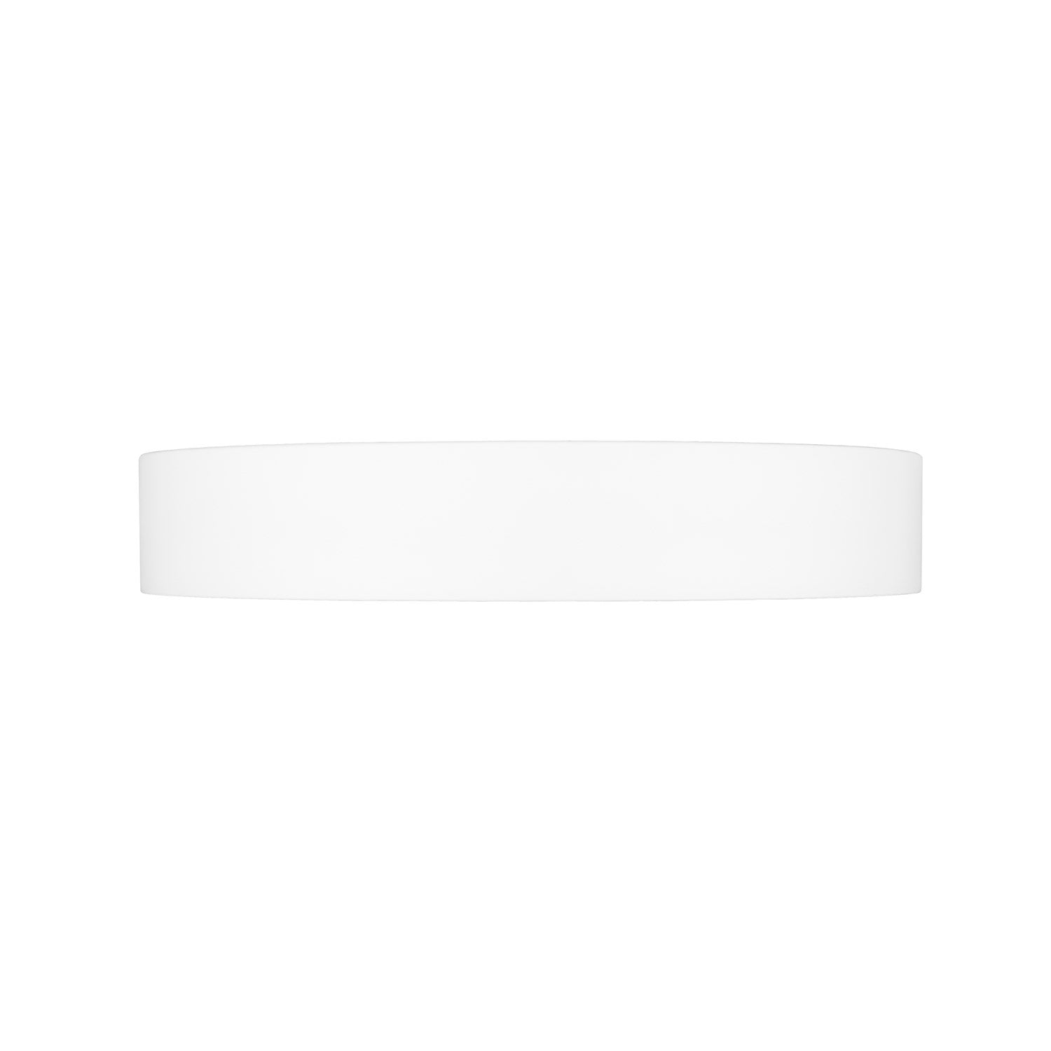 1 Light Flush Mount