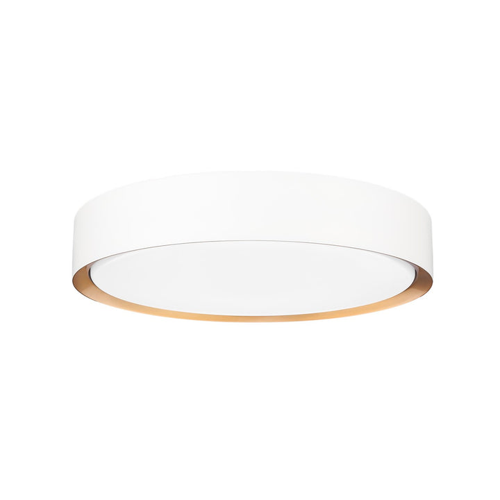 1 Light Flush Mount