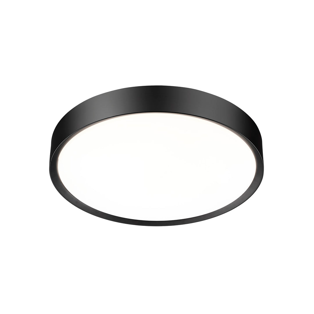 1 Light Flush Mount