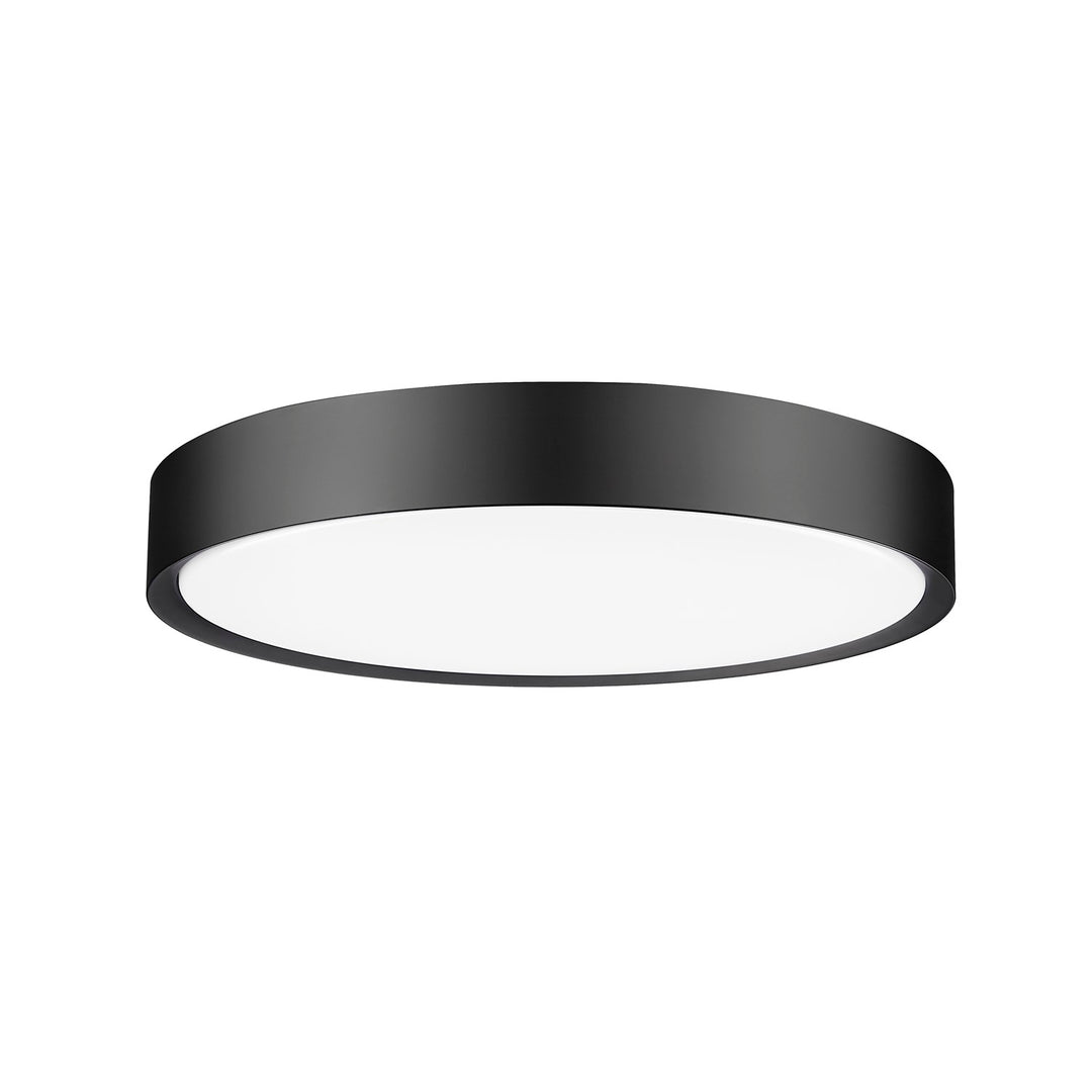 1 Light Flush Mount