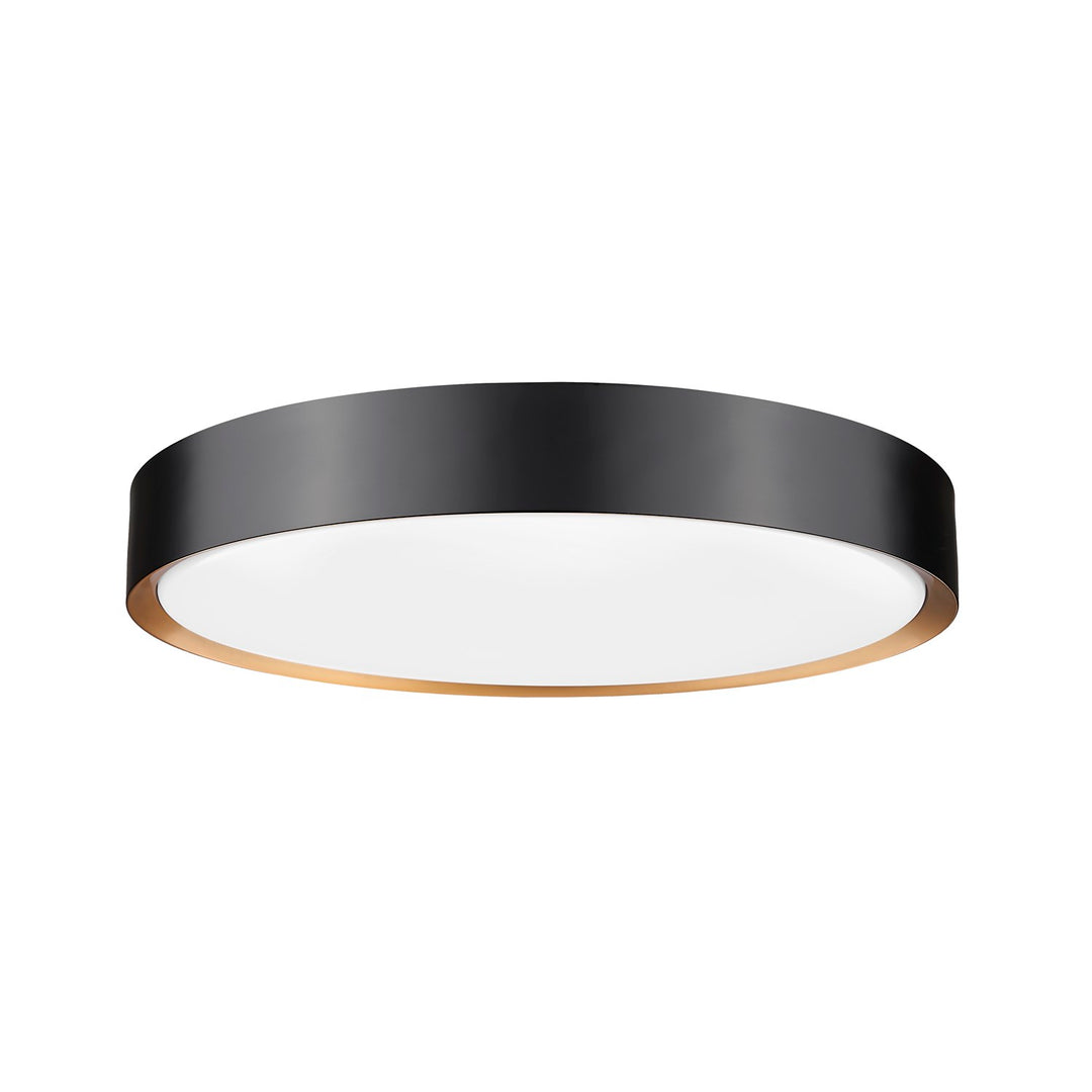 1 Light Flush Mount